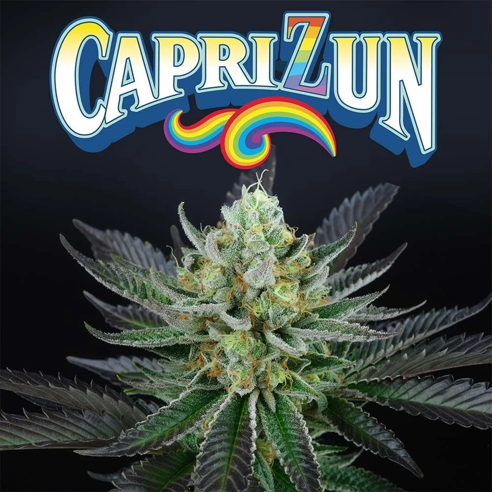 capri-zun-weed-seed-perfect-tree-seeds