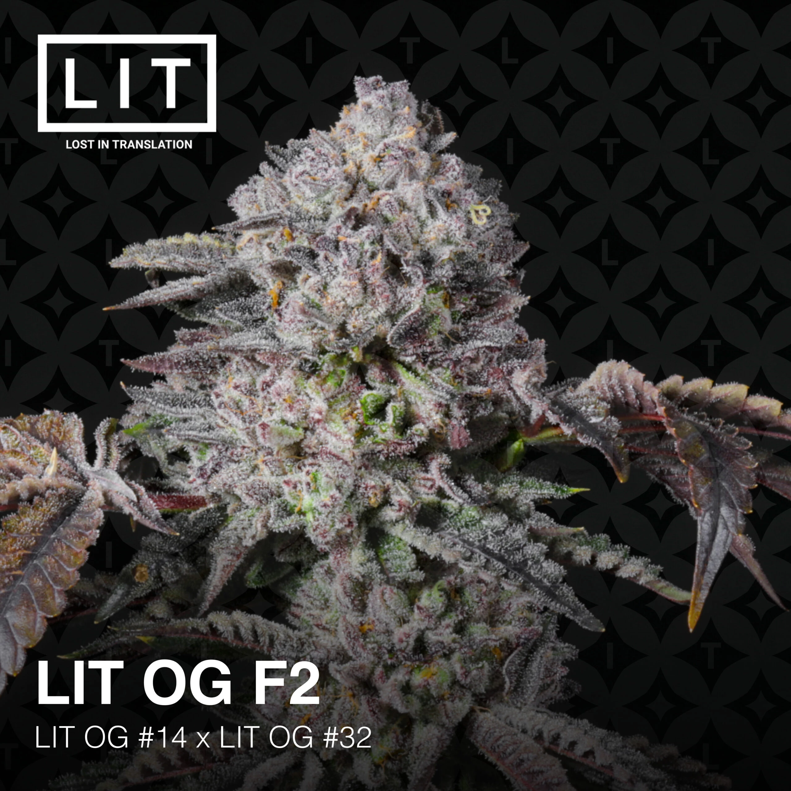 LIT OG F2-2