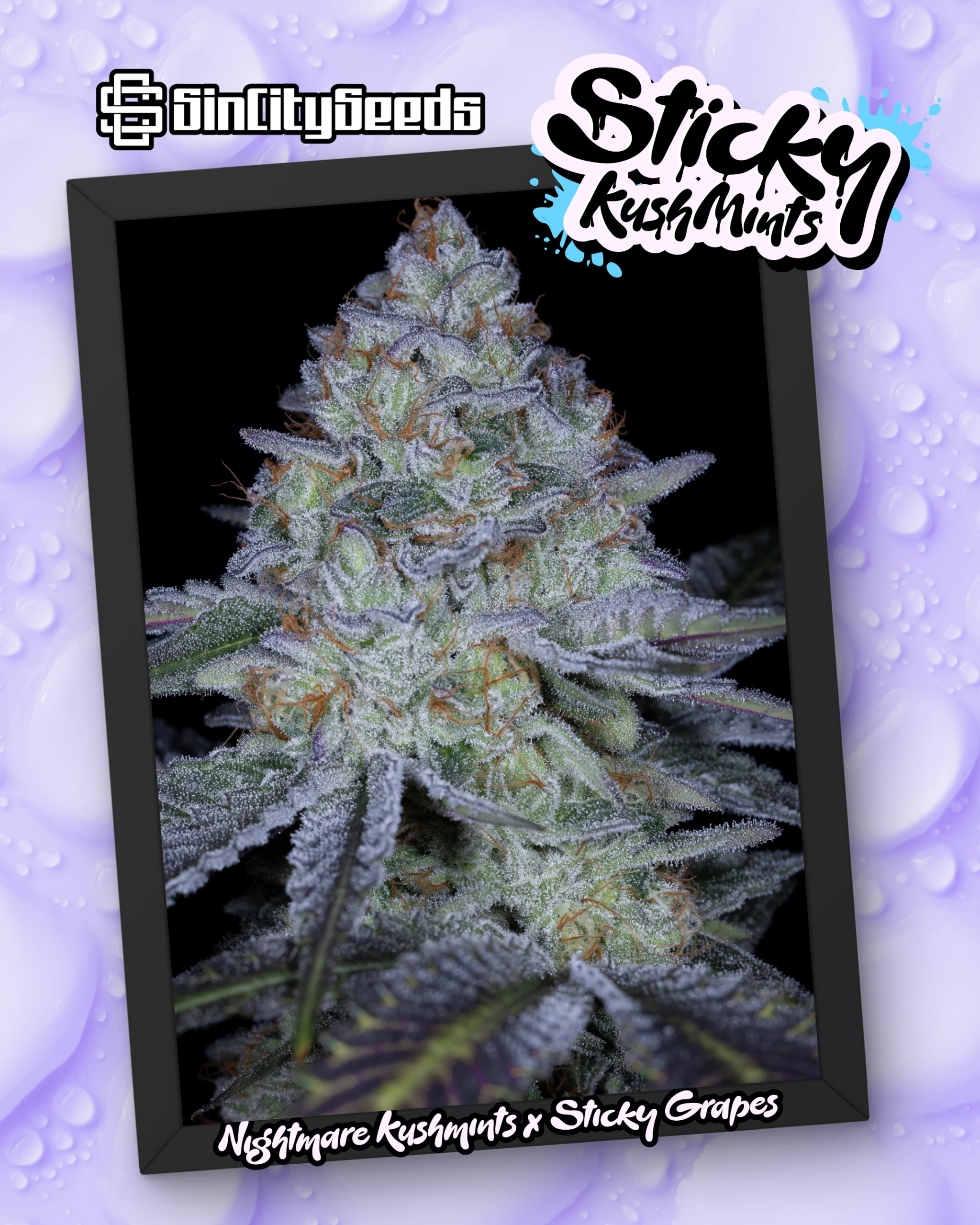 STICKY KUSH