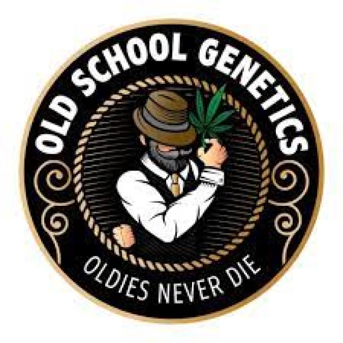 OLD SCHOOL PETROL SKUNK / FREEBIES Terpy Seeds