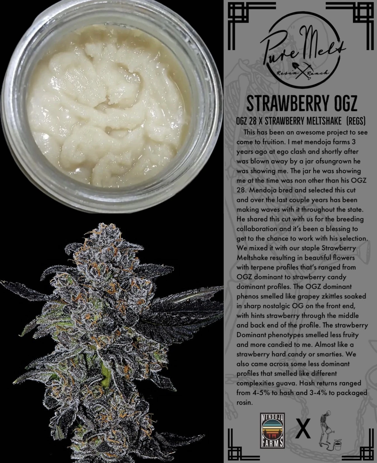 PURE MELT - STRAWBERRY OGZ - Terpy Seeds